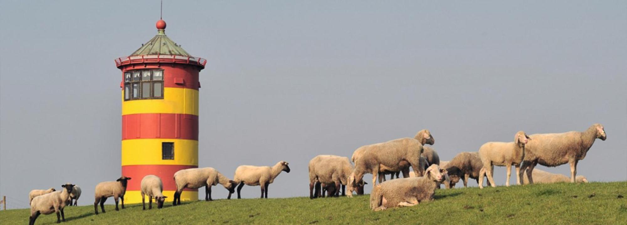 Vogelnest Διαμέρισμα Hage Εξωτερικό φωτογραφία